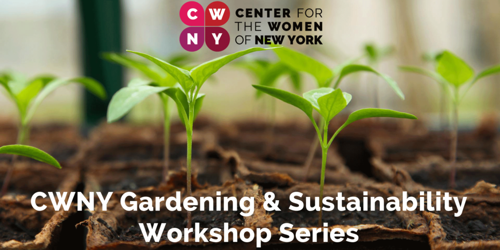 Gardening & Sustainability Workshop Series: "Planting and designing raised beds and pollinated gardens" @ Fort Totten